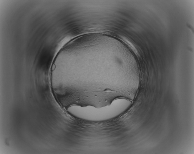 X0000091451291200709131708