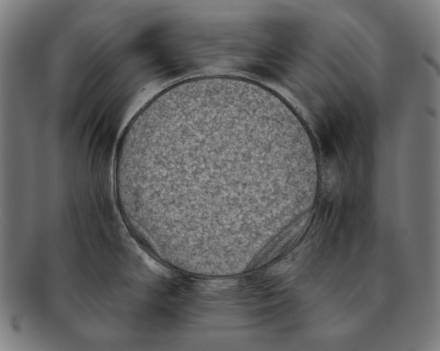 X0000091451294200709131708