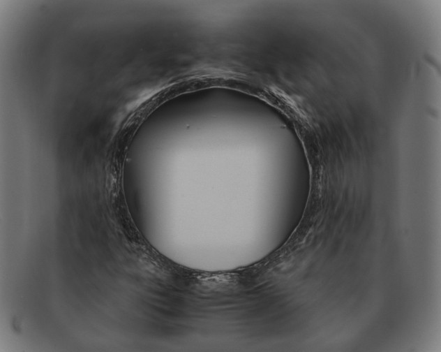 X0000091451303200709131708