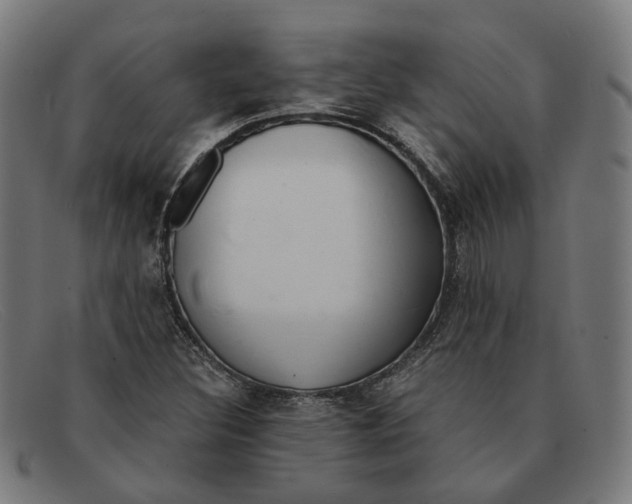 X0000091451308200709131708