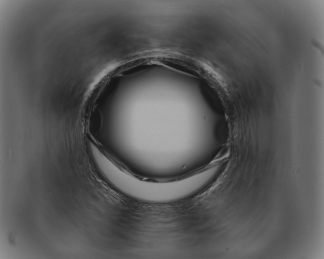 X0000091451310200709131708