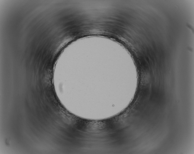 X0000091451314200709131708