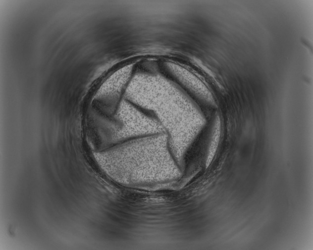 X0000091451315200709131708