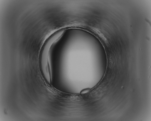 X0000091451316200709131708