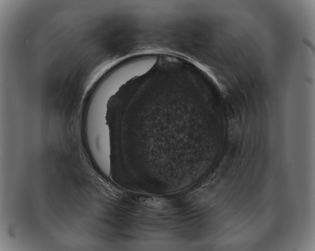 X0000091451319200709131708
