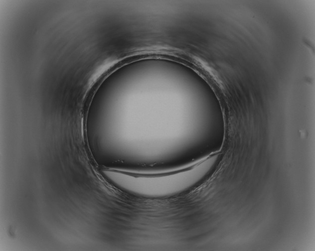 X0000091451320200709131708