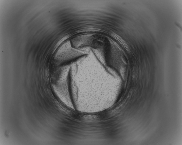 X0000091451321200709131708