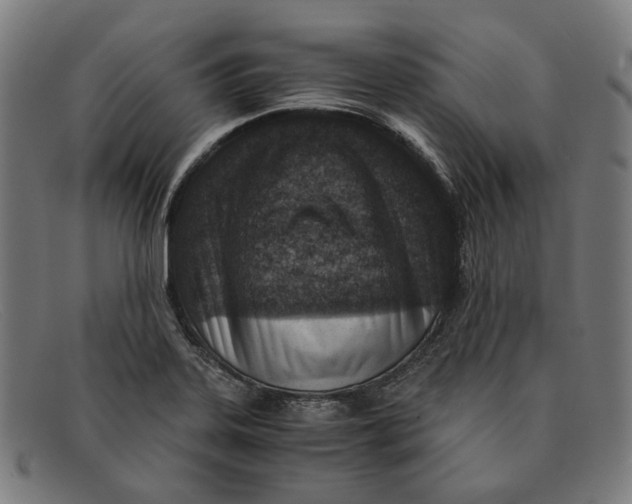 X0000091451323200709131708