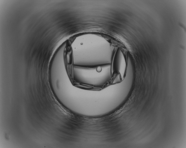 X0000091451324200709131708