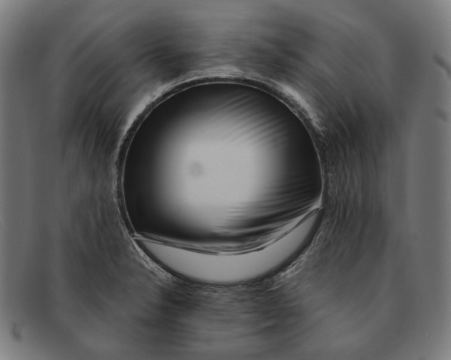 X0000091451326200709131708