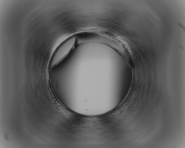 X0000091451328200709131708