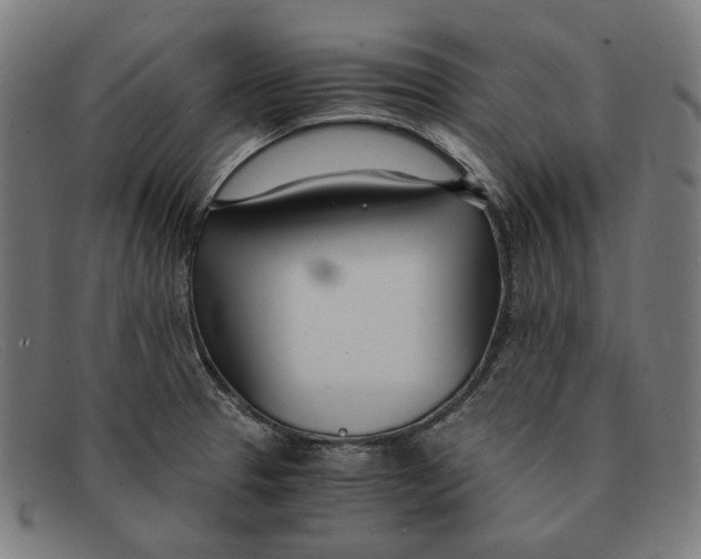 X0000091451329200709131708