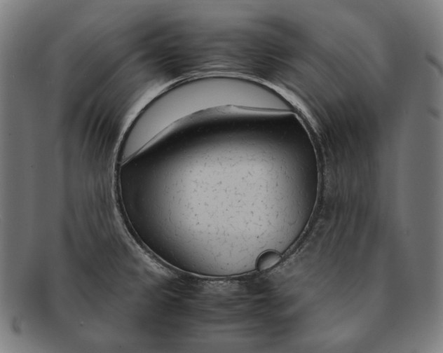 X0000091451333200709131708