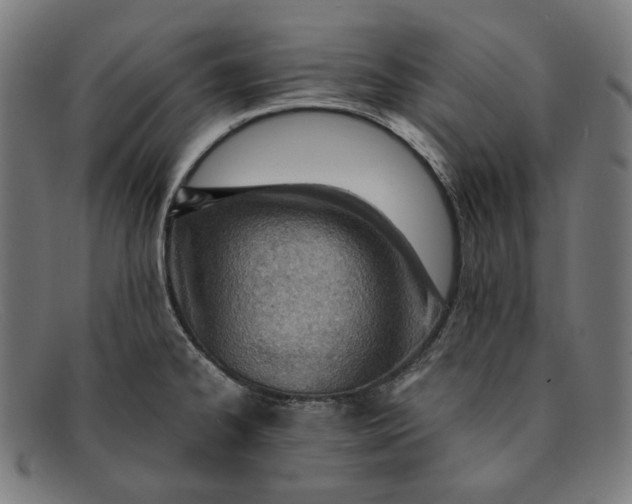 X0000091451334200709131708