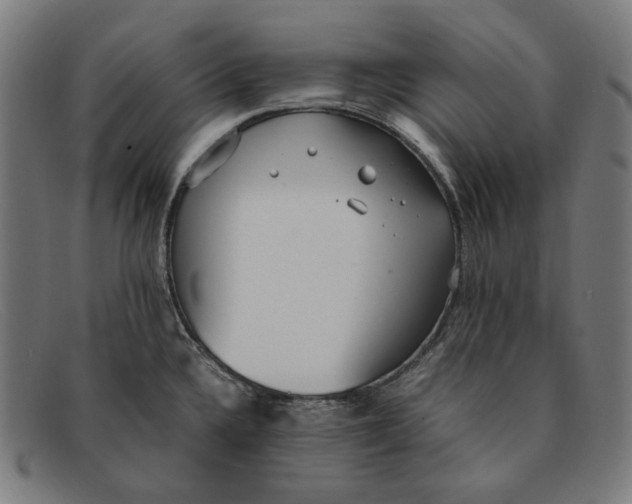 X0000091451336200709131708