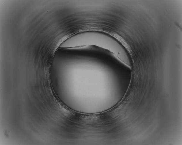 X0000091451337200709131708