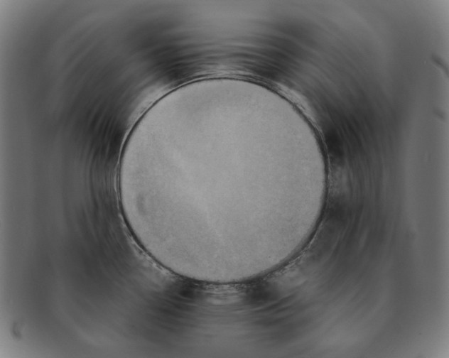 X0000091451338200709131708