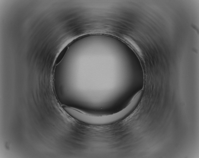 X0000091451340200709131708