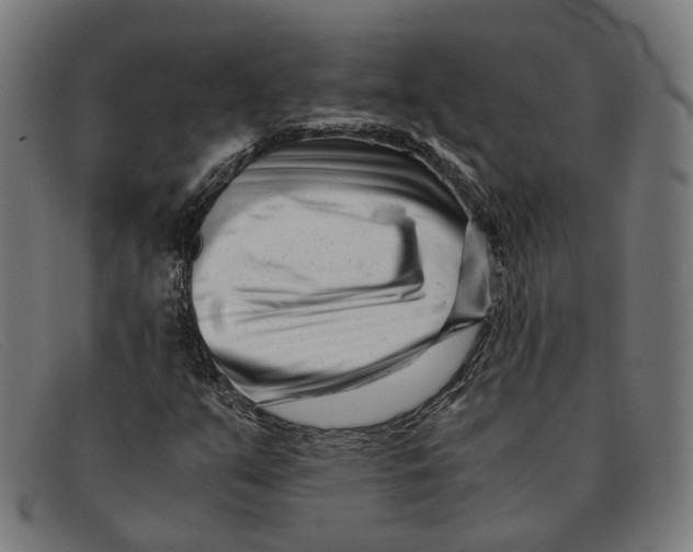 X0000091451351200709131708