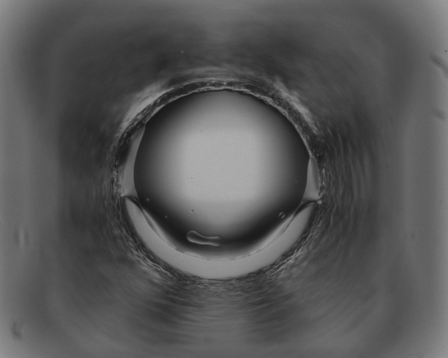 X0000091451352200709131708