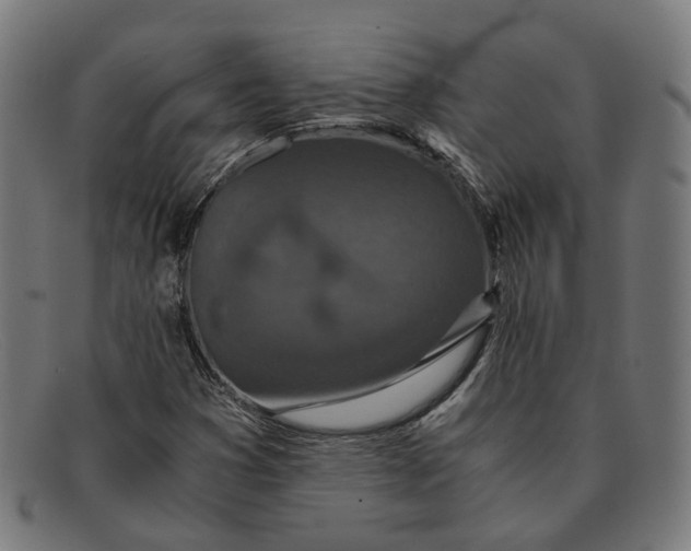 X0000091451353200709131708