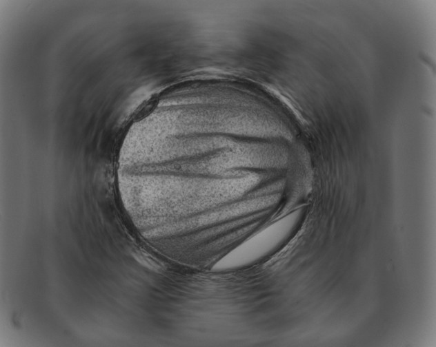 X0000091451355200709131708