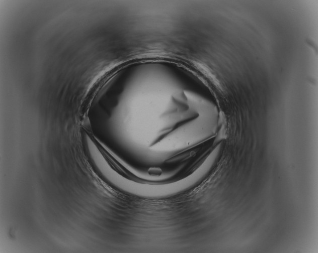 X0000091451356200709131708