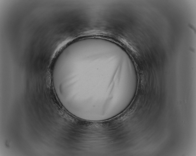 X0000091451358200709131708