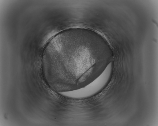 X0000091451359200709131708