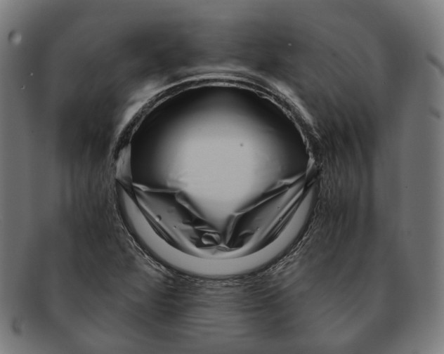 X0000091451360200709131707