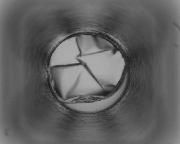 X0000091451363200709131707