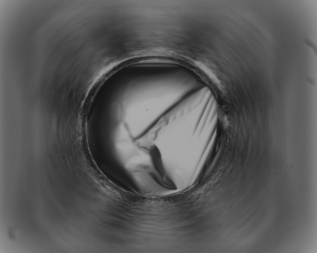 X0000091451364200709131707