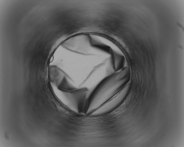 X0000091451366200709131707