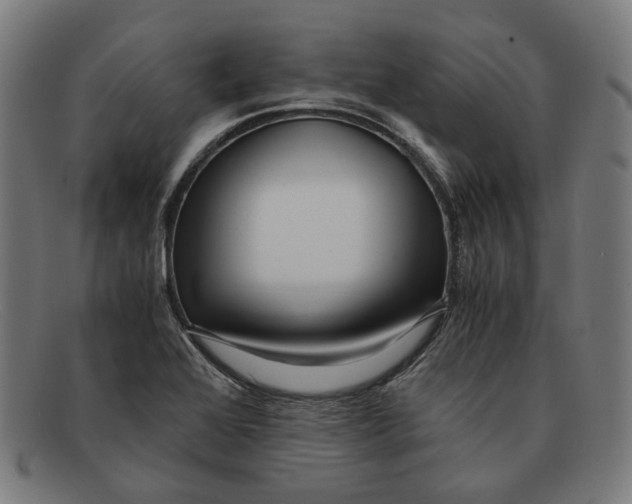 X0000091451368200709131707