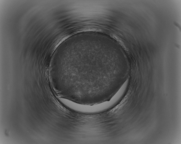 X0000091451369200709131707