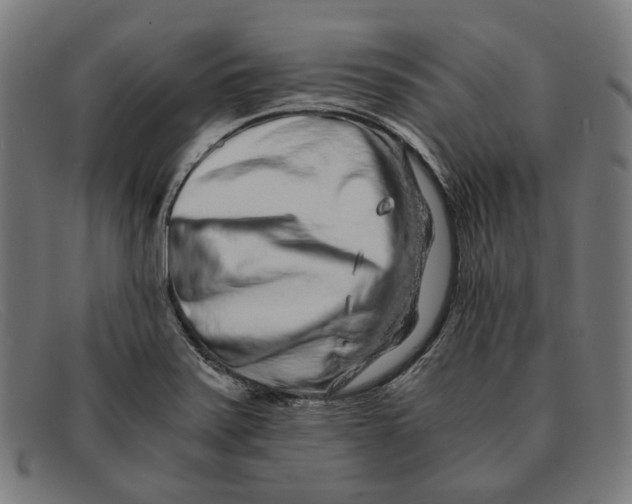 X0000091451371200709131707