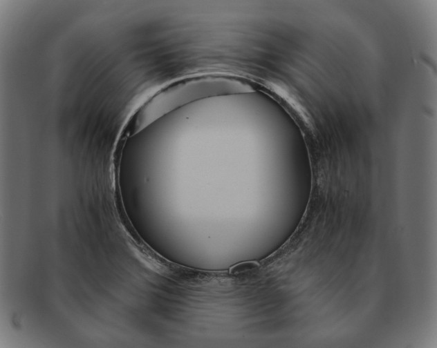 X0000091451372200709131707