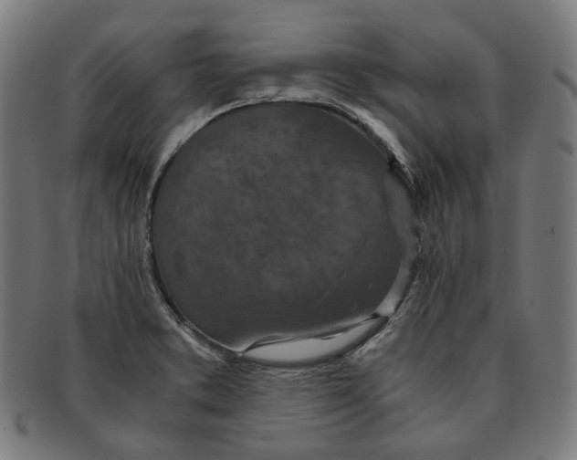 X0000091451373200709131707