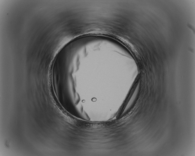 X0000091451375200709131707