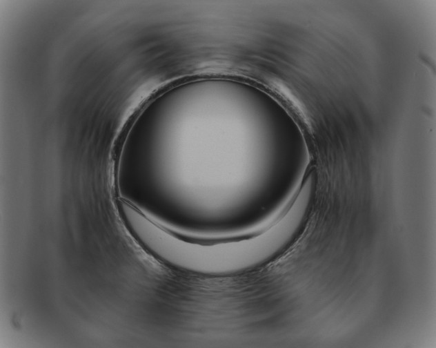 X0000091451376200709131707