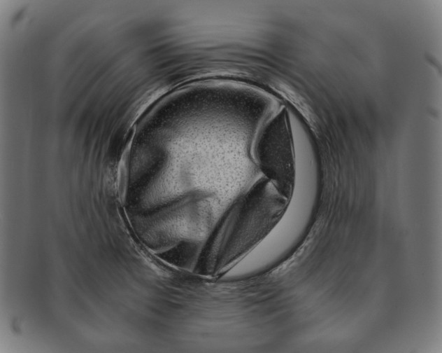 X0000091451377200709131707