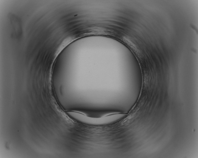 X0000091451378200709131707