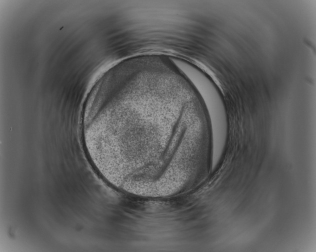 X0000091451379200709131707