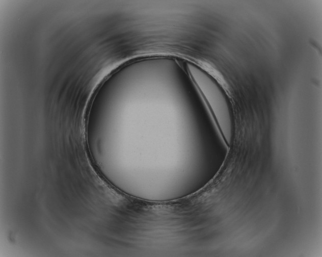 X0000091451380200709131707