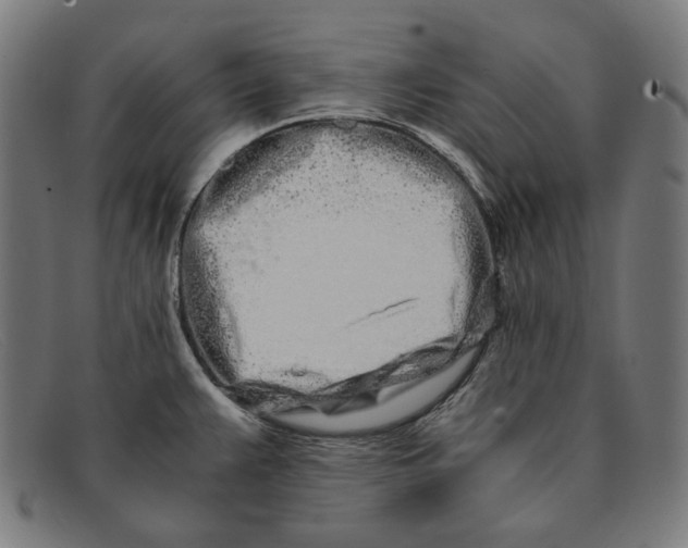 X0000091451383200709131707