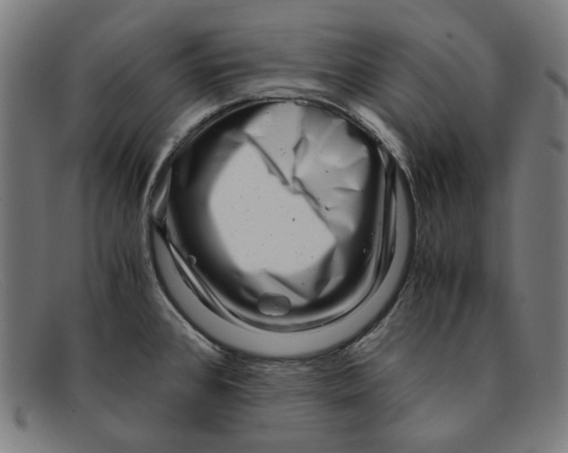 X0000091451384200709131707