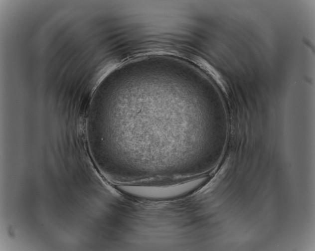 X0000091451385200709131707