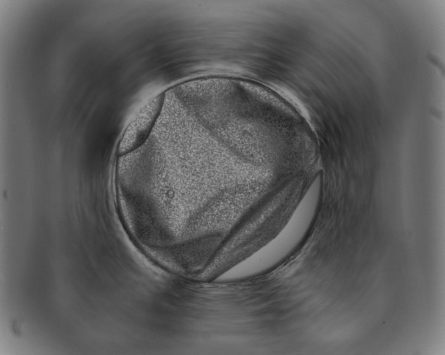 X0000091451391200709131707