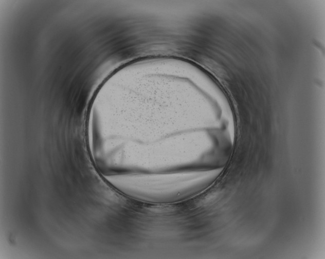 X0000091451392200709131707