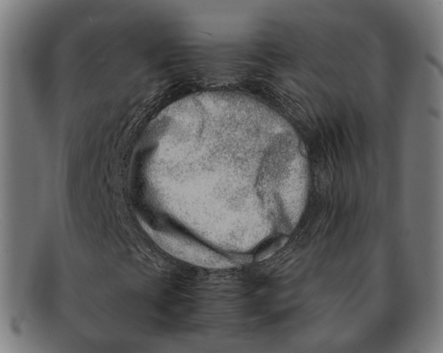 X0000091451393200709131706